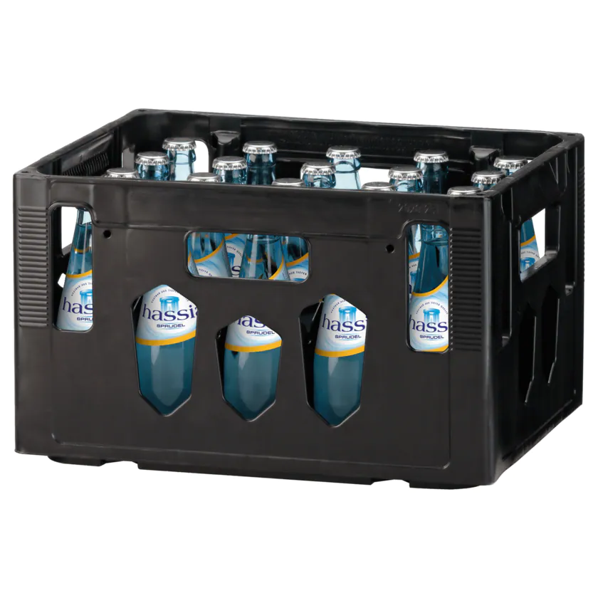 Hassia Sprudel 20x0,25L MEHRWEG (GLAS)